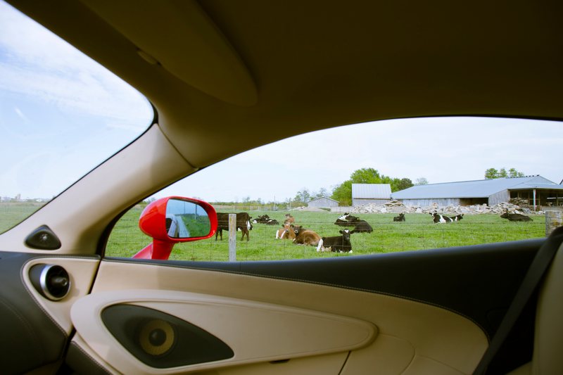 Maybe they were slightly disturbed by the leather interior. All Photo Credits: Raphael Orlove